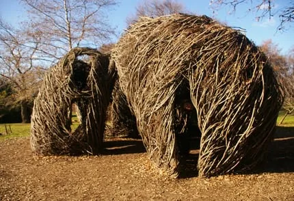 Patrick Dougherty's sculpture "Natural History".