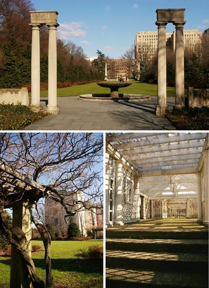 Looking through the Osborne Garden toward the main entrance, an inside view of the white trellis and arbors in the Rose Garden and a lovely twisty tree.
