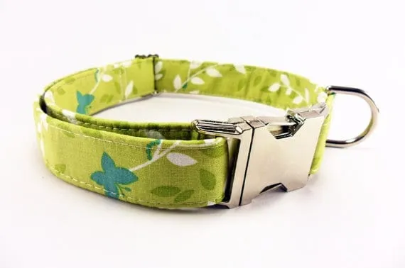 Cool Dog Collar - AnaMaria