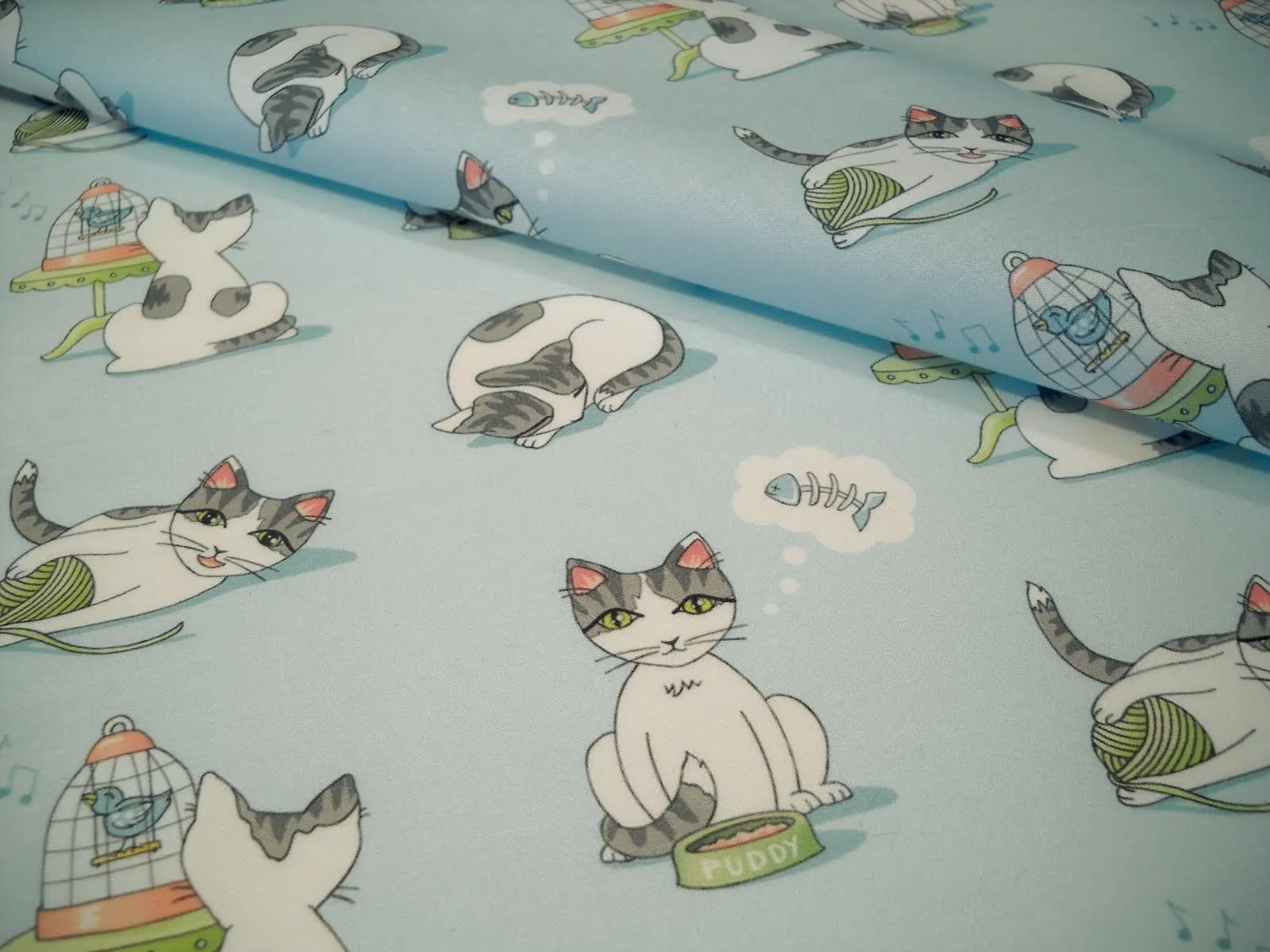 “Kitty Kawaii”
