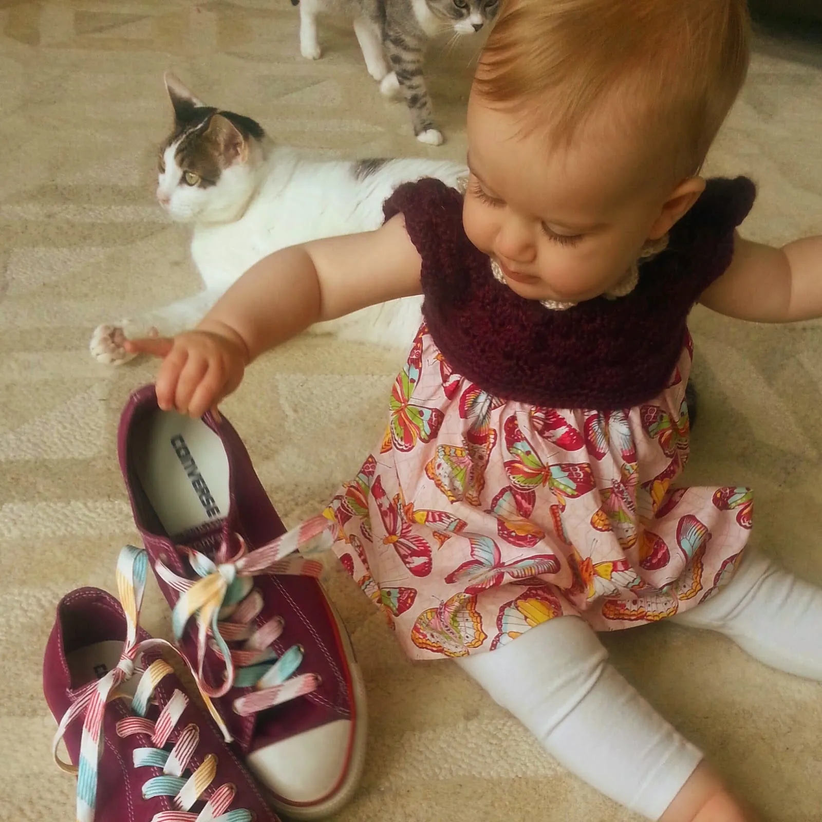 Baby bear playing with mommy’s new shoes, wearing her new dress!